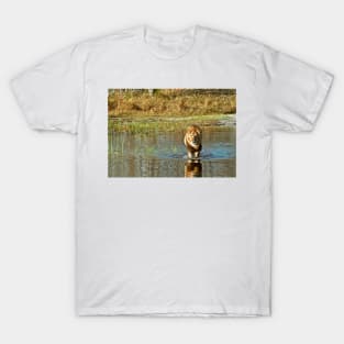 Lion crossing river T-Shirt